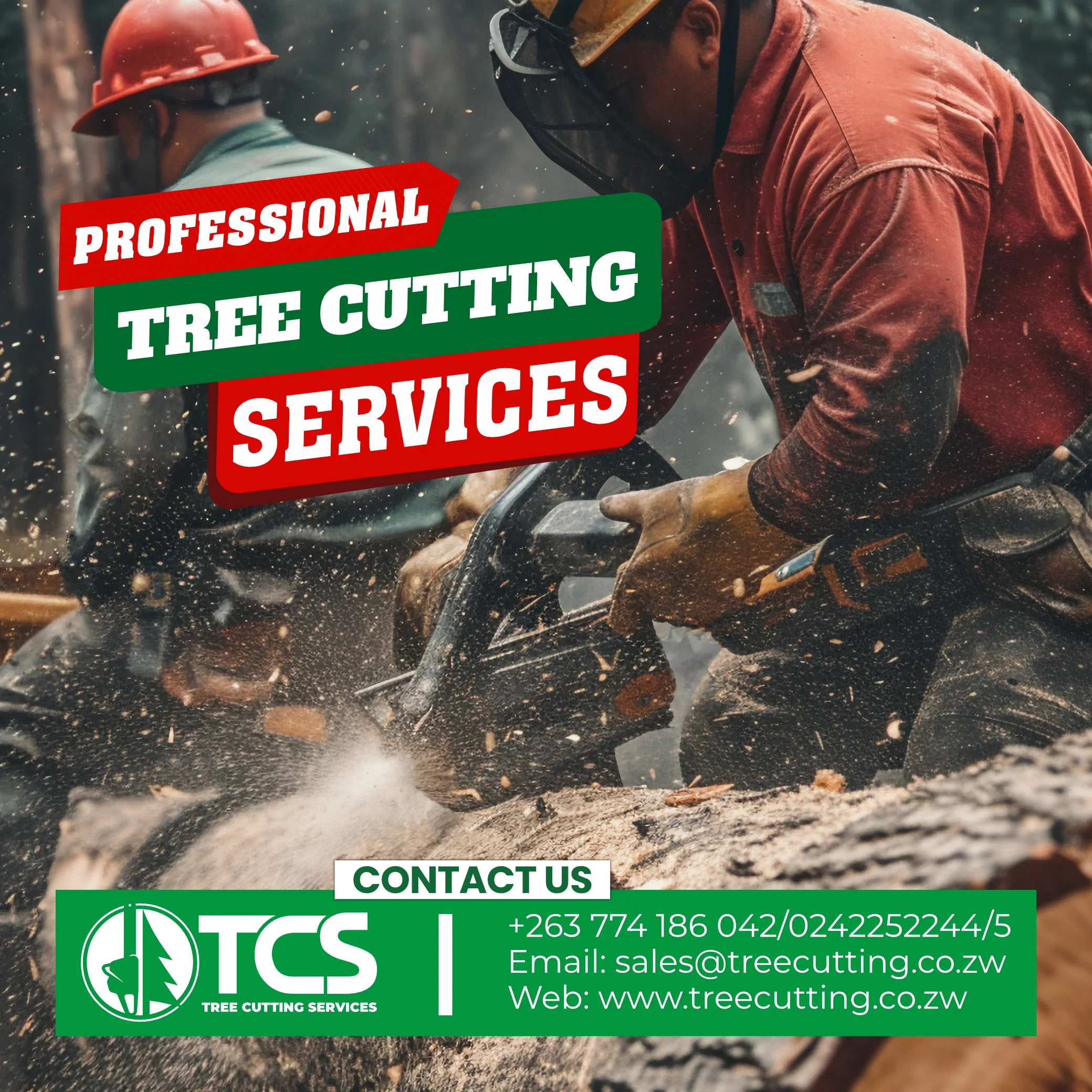 Tree Cutting Services — 4