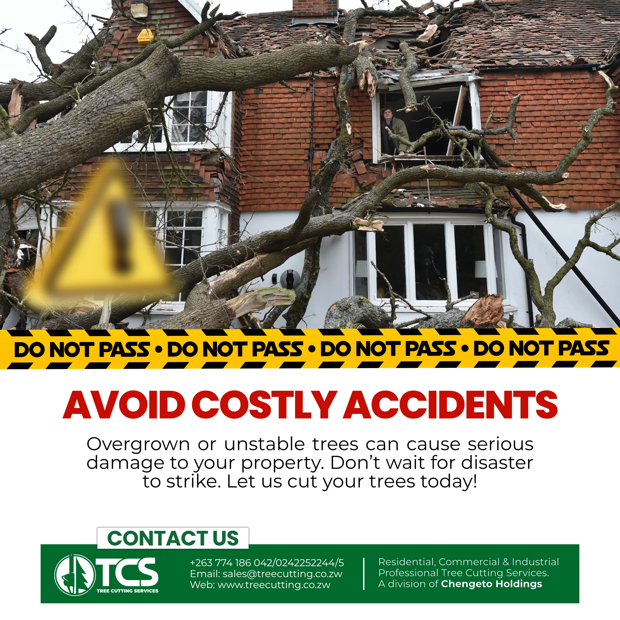 Tree Cutting Services — 2